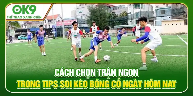 Cách Chọn Trận Ngon Trong Tips Soi Kèo Bóng Cỏ Ngày Hôm Nay Cách Chọn Trận Ngon Trong Tips Soi Kèo Bóng Cỏ Ngày Hôm Nay