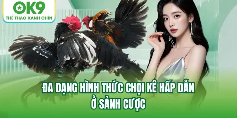 Đa dạng hình thức chọi kê hấp dẫn ở sảnh cược
