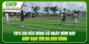 Read more about the article Tips soi kèo bóng cỏ ngày hôm nay cực đỉnh tại ok9.